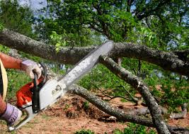 Lawn Watering Services in Konawa, OK